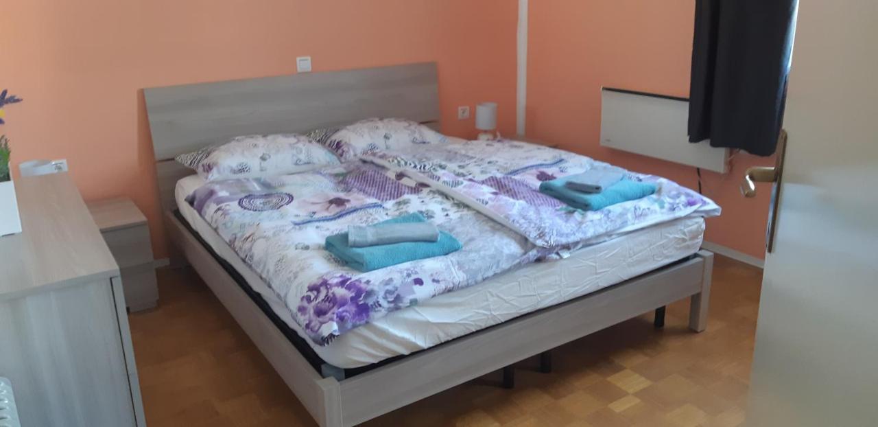 Terme Catez - Sonce Villa Catez ob Savi Bagian luar foto